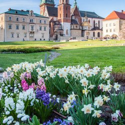 Cracow Tours