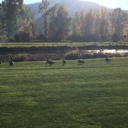 King Ranch Golf Course - Course comes with its own rather vocal gallery!