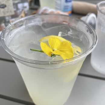 The River Social - Garden lemonade - Mediterranean Near Me - Providence, Rhode Island The River Social - Garden lemonade - Mediterranean Near Me - Providence, Rhode Island
