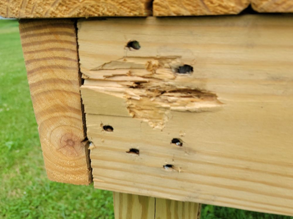 Slide of Natola Construction