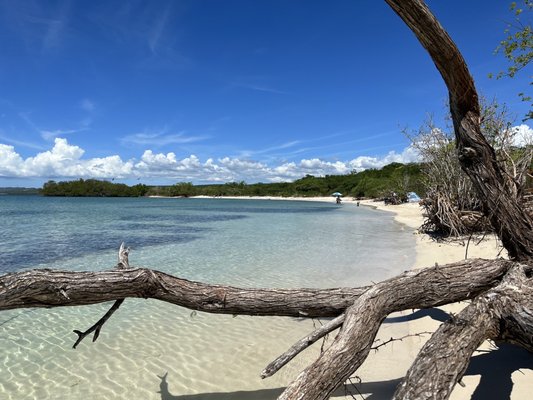 Playa La Jungla by null