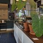 Photo of Smile Tiger Coffee Roasters
