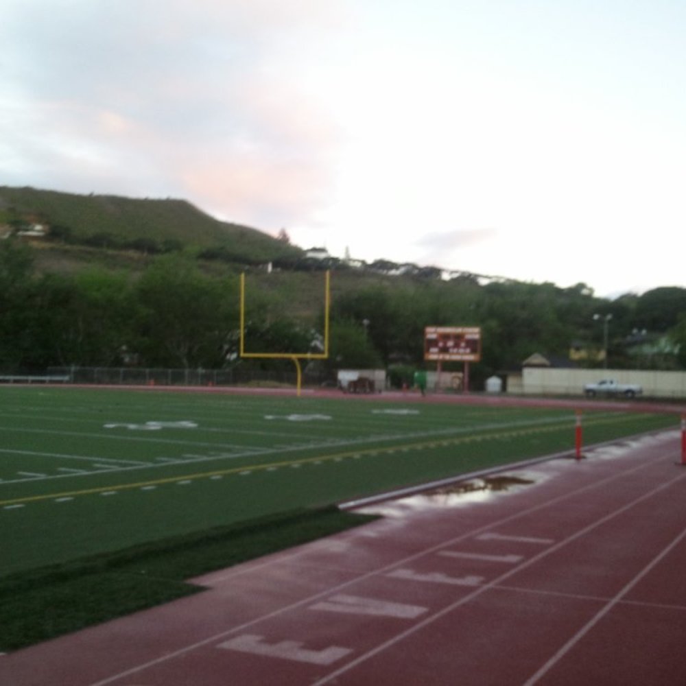Ticky's new field Ticky's new field