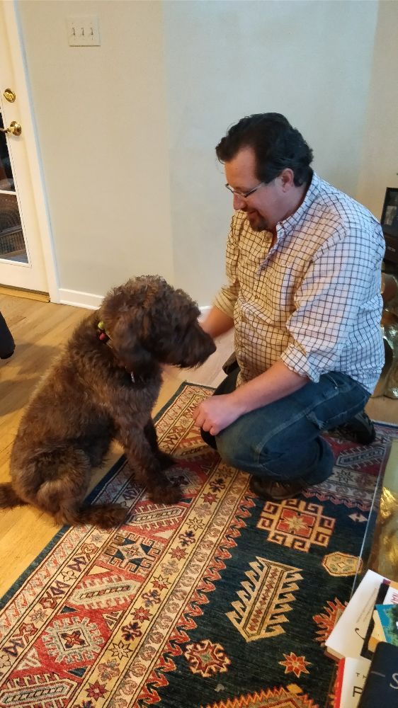 CURIOSITY SATISFIED DOG CAMP Updated September 2024 87 Photos 118