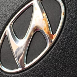 Avis - What is this... Yuck