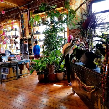 Cargo - Lots of thriving houseplants - Furniture Stores Near Me - Portland, Oregon