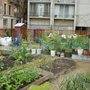 Photo of L'Hort del Forat
