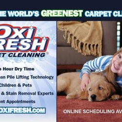 Oxi Fresh Carpet Cleaning - Book With Us Now, The Greenest Carpet Cleaning Business!