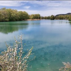 Hirschauer See