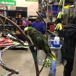 Viking Feed - Store bird!