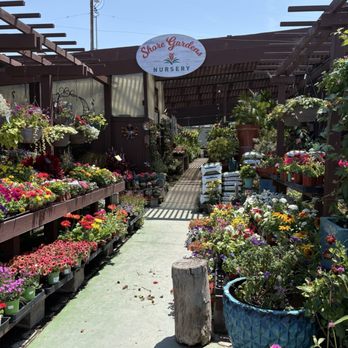 Shore Gardens Nursery - Nurseries & Gardening Near Me - San Clemente, California