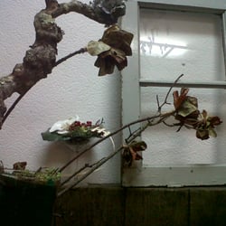 Amour de Fleurs