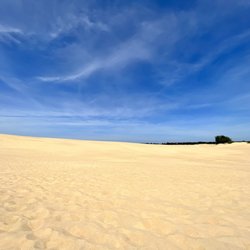Jockey's Ridge State Park - Like an endless desert!