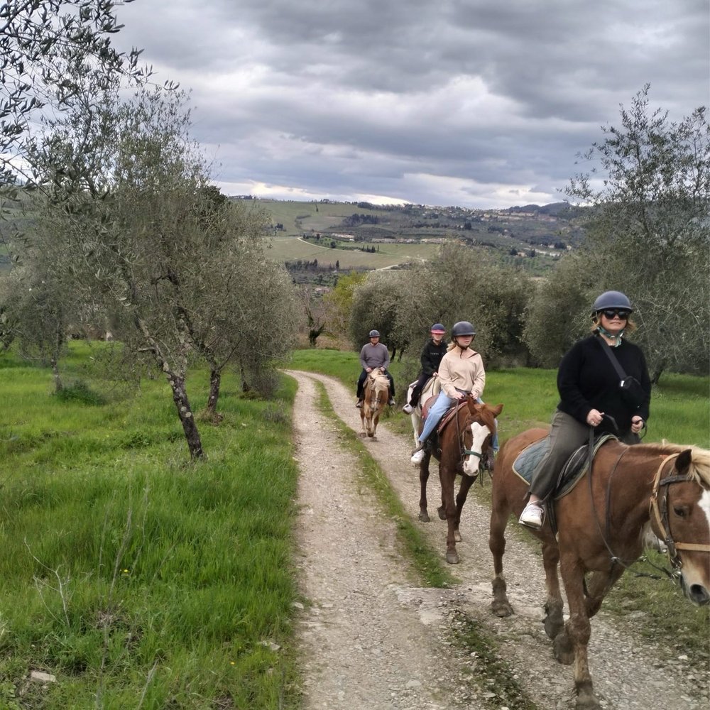 Florence Country Life - Horseback Riding Near Me - Florence, FI