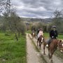Photo of Florence Country Life