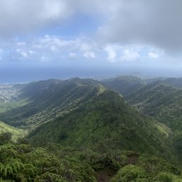 Views Views