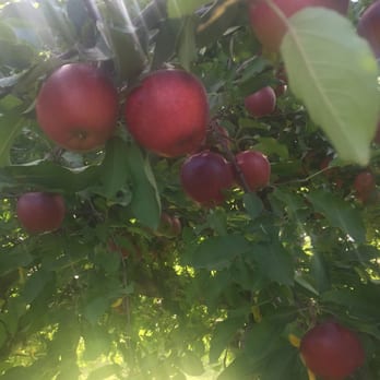 Masker Orchards - Fruits & Veggies Near Me - Warwick, New York