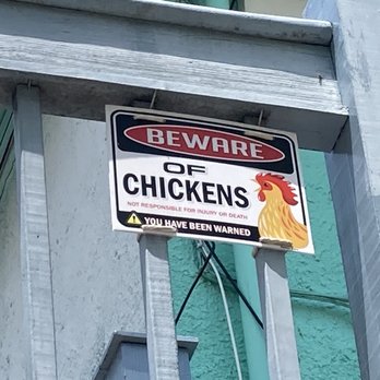 Blue Heaven - Breakfast & Brunch Near Me - Key West, Florida Blue Heaven - Breakfast & Brunch Near Me - Key West, Florida