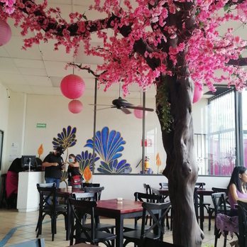 Midori Chan - Decoración - Sushi Bars Near Me - Cuernavaca, MOR Midori Chan - Decoración - Sushi Bars Near Me - Cuernavaca, MOR