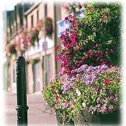 Alness