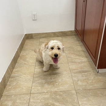 E & L Animal Clinic - Veterinarians Near Me - Hialeah, Florida E & L Animal Clinic - Veterinarians Near Me - Hialeah, Florida