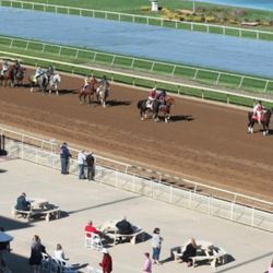 Clubhouse Dining - Horseshoe Indianapolis - Clubhouse Dining Horse Racetrack View at Horseshoe Indianapolis