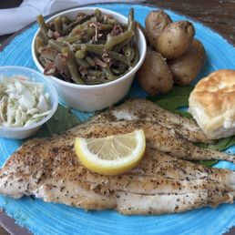 Unicorn fish