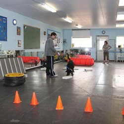 Gas City Dog Club