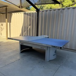 Adventure Playground - Table tennis