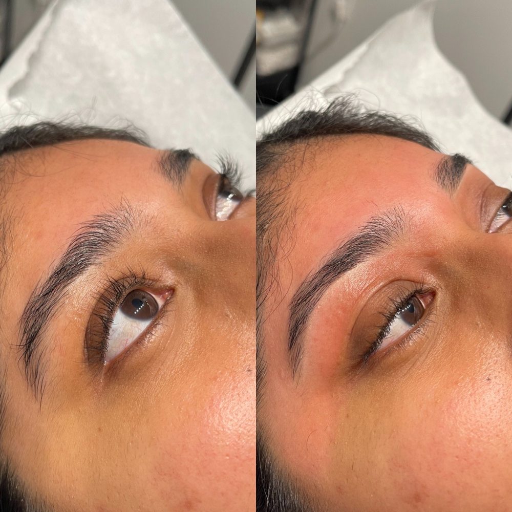 Alex’s House of Wax Logo