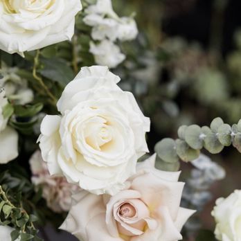 Lovely Peonies Floral Design - Florists Near Me Lovely Peonies Floral Design - Florists Near Me