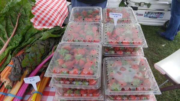 Denton Community Market by null