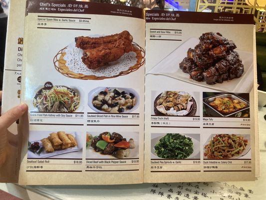 Menu photo 7 Shanghai You Garden Flushing, NY Menu photo 7 Shanghai You Garden Flushing, NY
