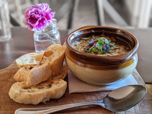 The Drunken Horse St. Augustine by null