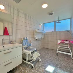 Artisan Build Group - ADA custom bathroom