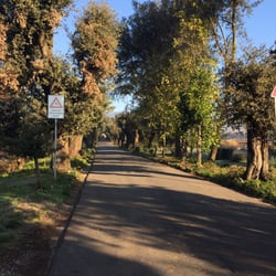 Villa Ankuri Azienda Usl 3 - Viale di accesso.