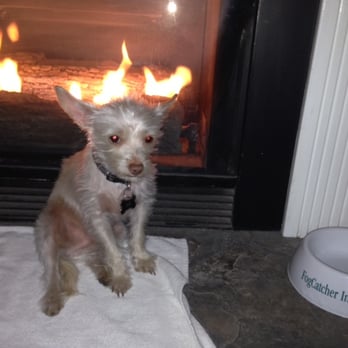 Fogcatcher Inn - Kevin loved his time at Fog Catcher Inn - Hotels Near Me - Cambria, California Fogcatcher Inn - Kevin loved his time at Fog Catcher Inn - Hotels Near Me - Cambria, California