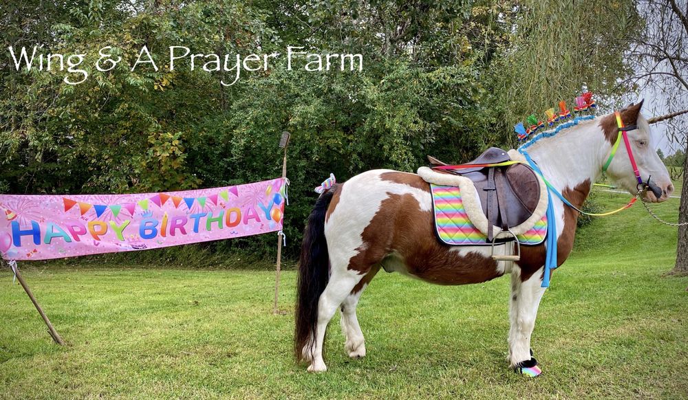 WING & A PRAYER FARM Updated August 2024 18 Photos 515 W Rocky
