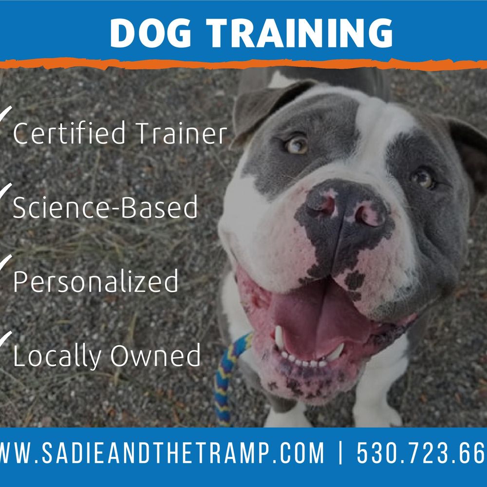 THE BEST 10 PET TRAINING in WOODLAND, CA - Updated 2026 - Hours - Yelp