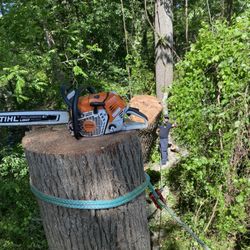 Pinky’s Tree Service - Municipality work this week