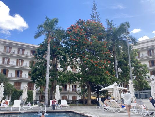 Iberostar Heritage Grand Mencey by null