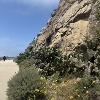 Morro Bay Rock - Walk way along the rock... - Beaches Near Me - Morro Bay, California