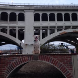 #clevelandcooper enjoying the new park! #thisiscle
