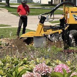 American Tree Service - American Tree Service at work!