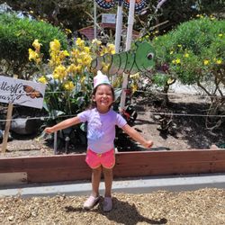 Butterfly garden