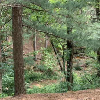 Ishnala - Scenery on the driveway - Steakhouses Near Me - Wisconsin Dells, Wisconsin