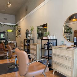 Little Fern Salon