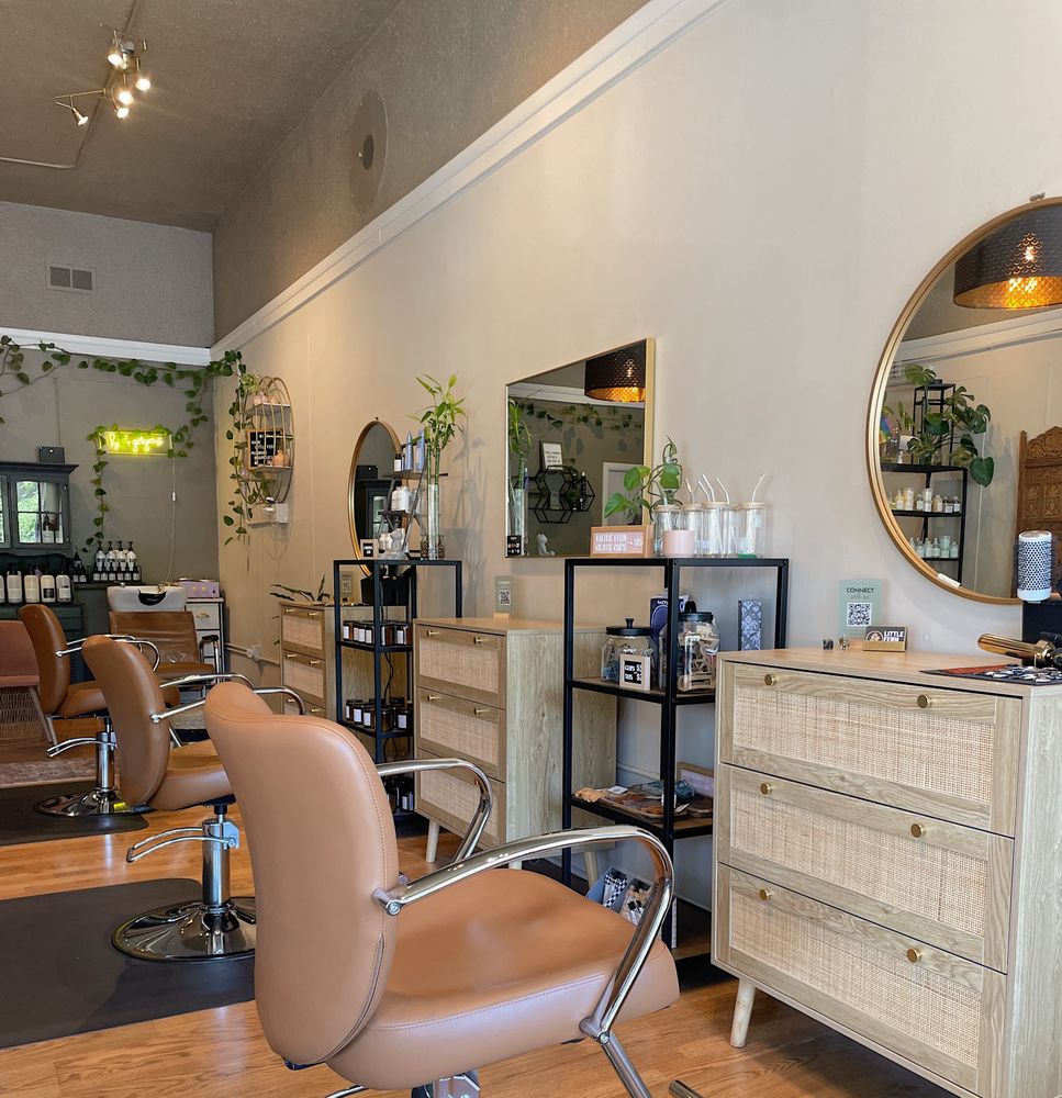 Little Fern Salon Logo