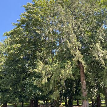 Confederation Park - Parks Near Me - Burnaby, British Columbia