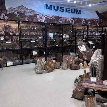 Jim Gray's Petrified Wood - Home Decor Near Me - Holbrook, Arizona Jim Gray's Petrified Wood - Home Decor Near Me - Holbrook, Arizona
